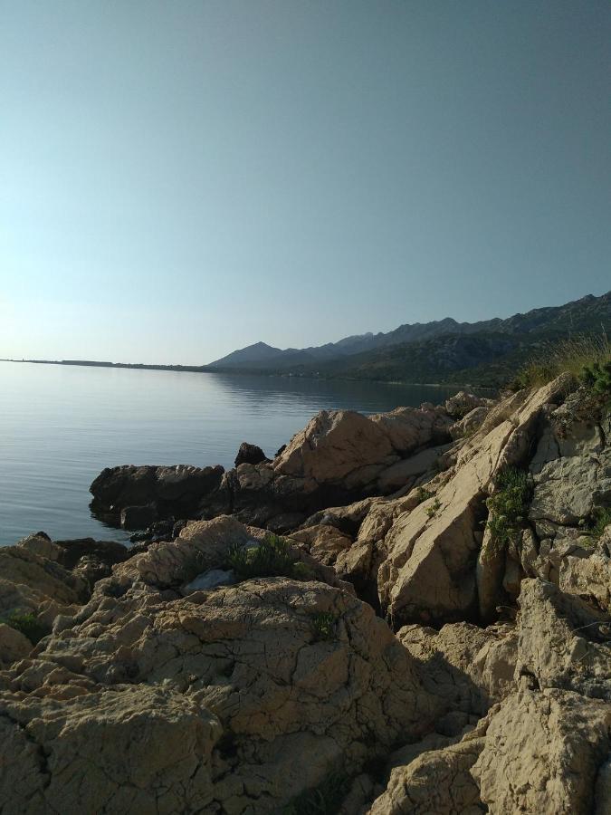 Apartman Larus Starigrad Paklenica Exterior foto