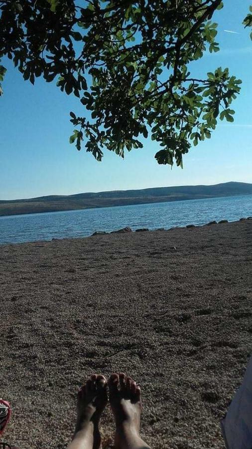 Apartman Larus Starigrad Paklenica Exterior foto